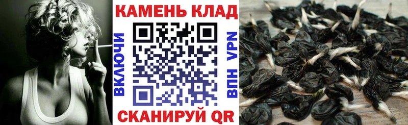 ГАШ Premium где продают Навашино