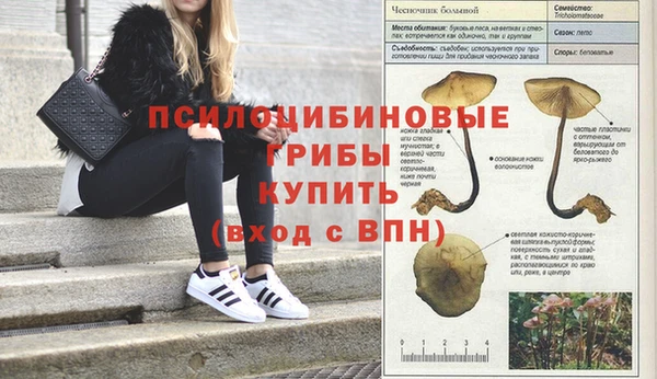 не бодяженный Алзамай