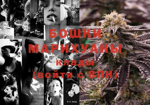 спайс Галич