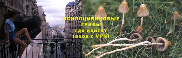 герыч Алексин
