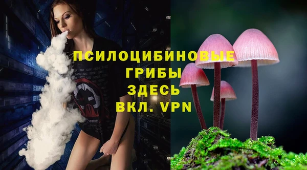 МДПВ Алексеевка